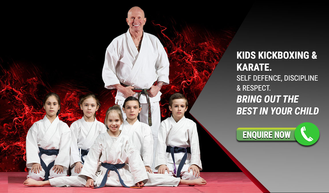 Teach your kids martial arts - respect - discipline & self defence